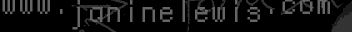 www.janinelewis.com